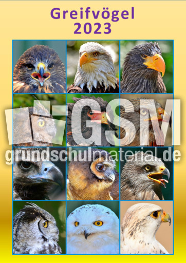 Greifvögel_2023_3.pdf